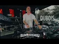 Download Lagu DUBO!S | 🌿 DJ Set Live Electrogreen Orléans 2025 – House, Afro, Indie \u0026 Melodic