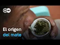 Download Lagu El origen de la yerba y la tradición sudamericana