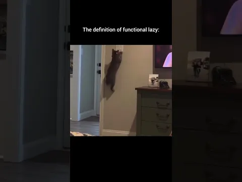 The definition of functional lazy:
