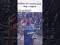 Download Lagu dingin tetapi tidak kejam🥶🥶🥶#alucard #mlbb