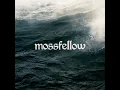 How Long Does This Last - mossfellow & Samuel Fox