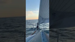 Cruising ⛵️
