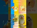 The Difference of Character in Angry Birds Stella