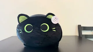 Reviewing the Cutest Black Cat Stuffed Animal