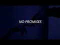 Download Lagu Shayne Ward - No promises Español & English