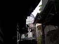 Download Lagu Pleci Tembakan Mematikan #viral