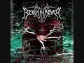 Borknagar - The Genuine Pulse