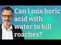 Can I mix boric acid with water to kill roaches