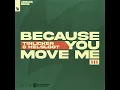 Because You Move Me - Tinlicker & Helsloot