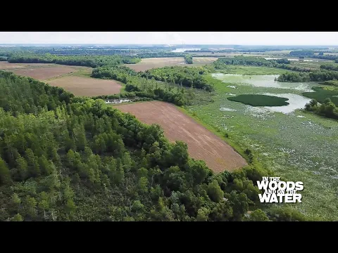 Download MP3 Sloughs Wildlife Management Area