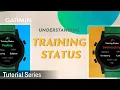 Tutorial - Understanding Training Status