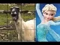 Let It Goat Full-Length Song