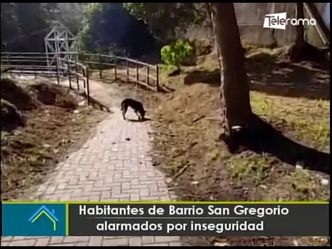 Habitantes de Barrio San Gregorio alarmados por inseguridad