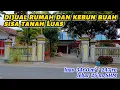 Download Lagu Dijual Rumah Dan Kebun Buah Sisa Tanah Luas ( 082194791760 ) 