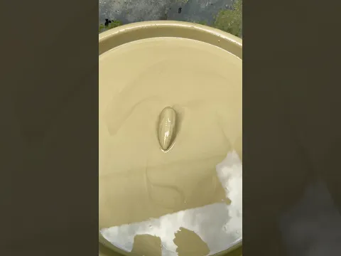 Cleaning Corn satisfying asmr