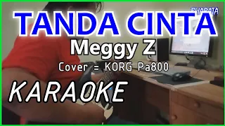 Download TANDA CINTA - Meggy Z - KARAOKE - Cover Korg Pa800 MP3