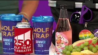 Why Wolf Trap is one of the best DMV concert venues for a summer picnic NBC Washington
