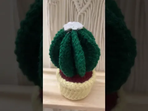 Crochet cactus #cactus #crochet #diy #handmade #cute #asthetic #homedecor #shorts #youtubeshorts