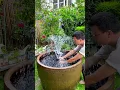 Download Lagu Garden Floating Water Fountain | Submersible Fountain Pump #shorts