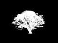 CSS tree animation
