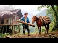 Download Lagu A homeless young man renovates the old house left by his grandfather deep in the mountains#building
