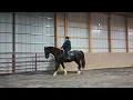 Cheery Acres Jan 2023 - Brandi Sturdivant Kupid Shuffle