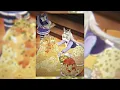 sma$her - VAI NO VAPOR (Slowed) X Oguri Cap
