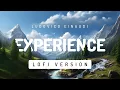 Download Lagu Ludovico Einaudi - Experience (Lofi version)