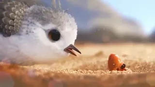 افلام كارتون صغير النورس 