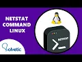 NETSTAT COMMAND LINUX