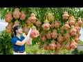 Download Lagu Harvesting Rare Bell-Shaped Na Fruit \u0026 Homemade Black‑Jelly Cakes | How To Sell Out In Minutes