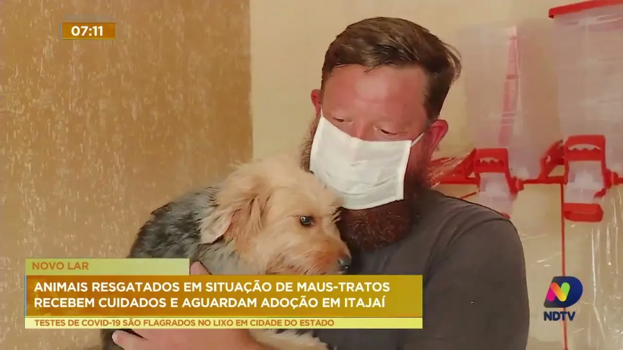 Animais resgatados em situação de maus-tratos recebem cuidados e aguardam adoção em Itajaí