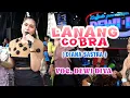 Download Lagu LANANG COBRA - DEWI DIVA - KAJJOLE PANTURA \