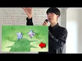 ヨルシカ「雲を抜け風下へ私だけ」のMV考察を大人が本気でしてみた