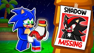 Shadow Is MISSING..