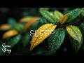 Download Lagu Ontspannende Gitaarmelodieën \u0026 Natuurlijke Rust - Akoestische Muziek voor Slaap \u0026 Stressvermindering