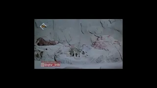 سریال فیلم مردان آنجلس بر اساس داستان اصحاب کهف 