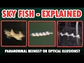 Lagu Sky Fish Explained - What Are Flying Rods?