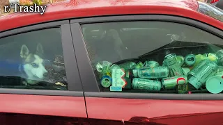 what the dog doing