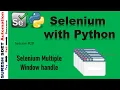 Selenium with Python How to Handle Multiple Windows in selenium Browser Tabs