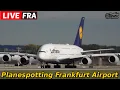LIVE Planespotting Frankfurt am Samstag - LH A380 D-AIMH in FRA