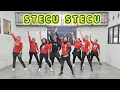Download Lagu STECU STECU | Musik TikTok Viral | Senam Kreasi Choreo by SS Prambos