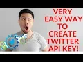 How to Create Twitter API Keys and Tokens - Twitter Application Management