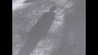 שלום חנוך ילדים של החיים 