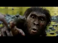 Lucy 2014 - Australopithecus Screen Time