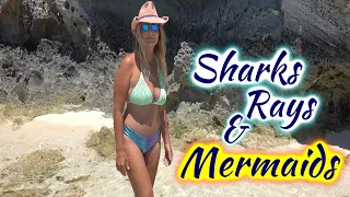 SDA106 Sharks, Rays and Mermaids