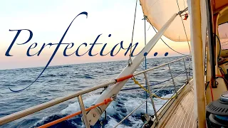Just a Perfection… / Sailing Aquarius Ep. 173