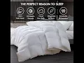 Luxurious Palatial King Super King 120 x 98 Size Goose Down Fiber Waterfowl Feather Fiber Comforter
