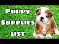 Ultimate English Bulldog Puppy Supplies List Everything You Need for a New Bulldog Puppy