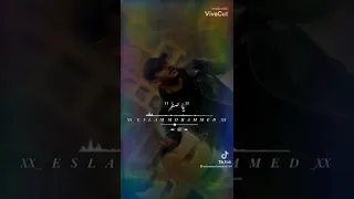 كليب ياصفر شغلك مسلم وعبدالباسط حموده دندنها